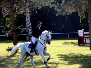 Foto 182573 im Album
