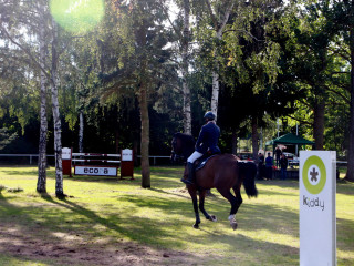 Foto 182607 im Album