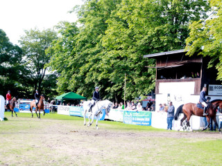 Foto 182618 im Album