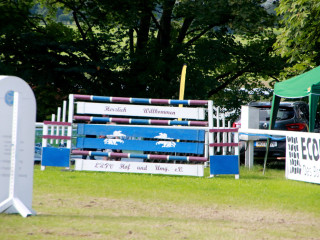 Foto 182624 im Album