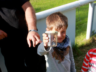Foto 182629 im Album