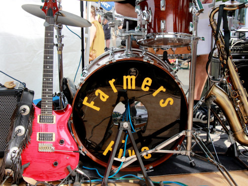 5. Hofer Chilifest mit Livemusik Farmers Five – Foto 25