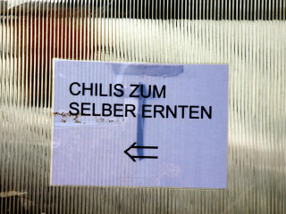 Foto 182967 im Album