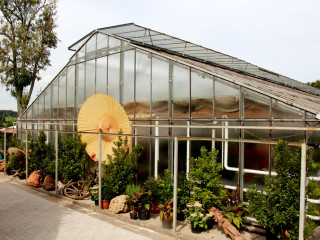 Foto 182981 im Album