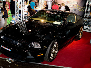Foto 18300 im Album