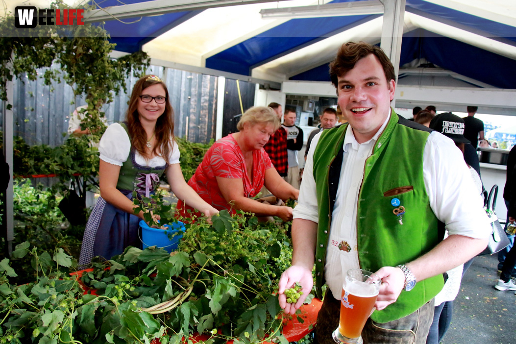 Hopfenzupferfest & Oldtimertreffen