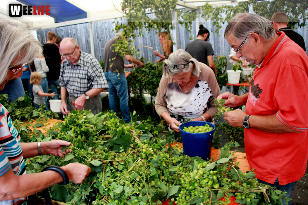 Hopfenzupferfest & Oldtimertreffen