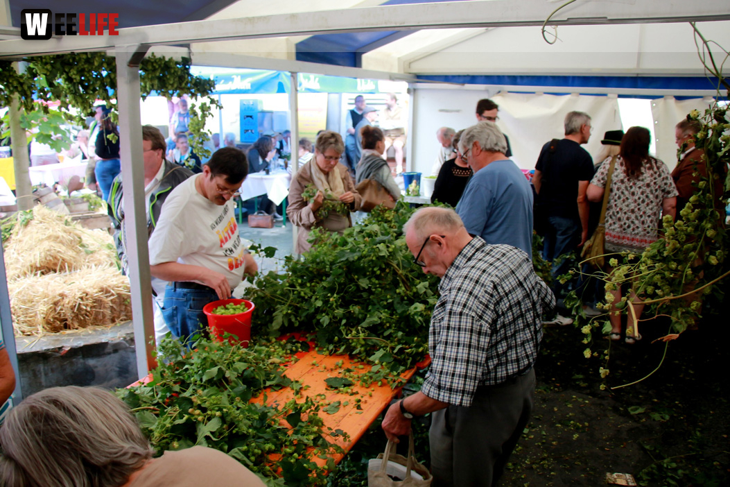 Hopfenzupferfest & Oldtimertreffen