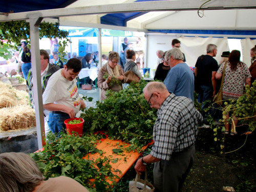 Hopfenzupferfest & Oldtimertreffen – Foto 17