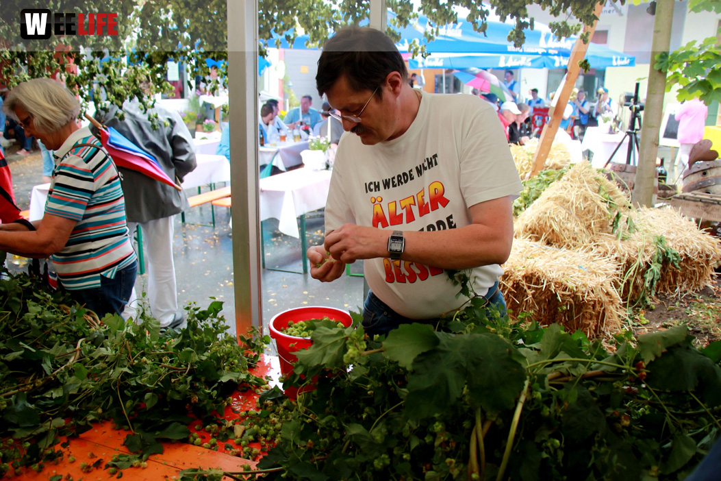 Hopfenzupferfest & Oldtimertreffen