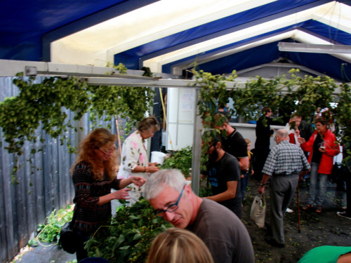 Hopfenzupferfest & Oldtimertreffen – Foto 22