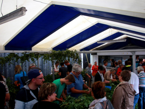 Hopfenzupferfest & Oldtimertreffen – Foto 26