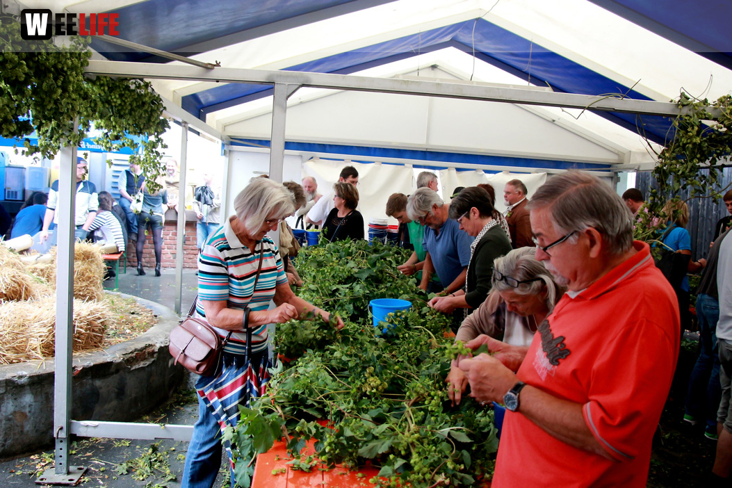 Hopfenzupferfest & Oldtimertreffen