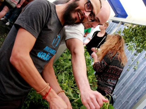 Hopfenzupferfest & Oldtimertreffen – Foto 42