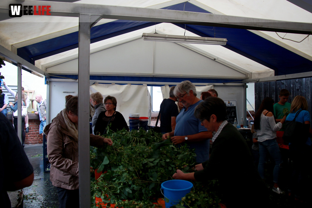 Hopfenzupferfest & Oldtimertreffen