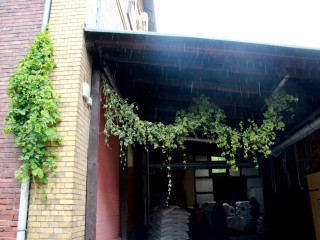 Foto 183232 im Album
