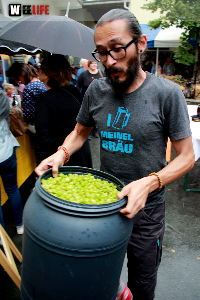 Hopfenzupferfest & Oldtimertreffen