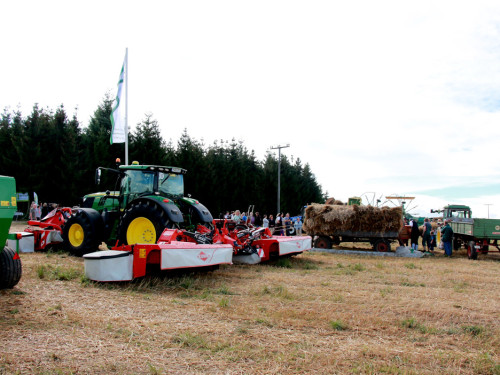 Kramers Hoffest – Foto 48
