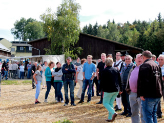 Vorschau des nächsten Fotos