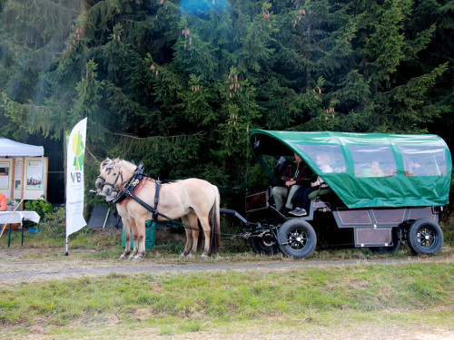 Kramers Hoffest – Foto 63