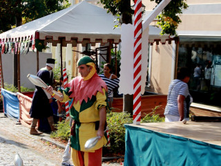 Foto 183548 im Album