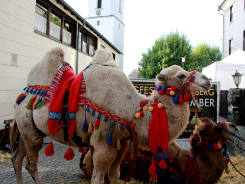 Burgfest – Foto 151