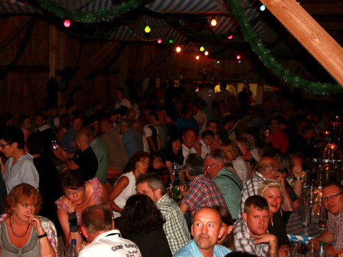Weinfest Froschburg Kärwa Gery and the Johnboys – Foto 14