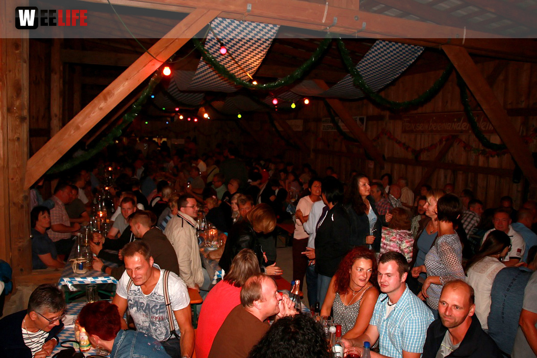Weinfest Froschburg Kärwa Gery and the Johnboys