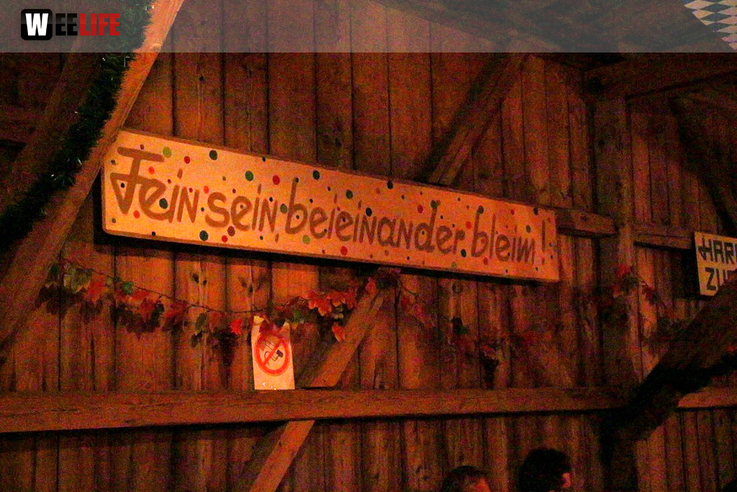 Weinfest Froschburg Kärwa Gery and the Johnboys