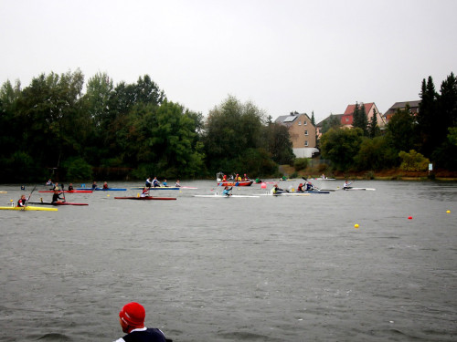 Int. HofRegatta im Kanu-Sprint – Foto 43