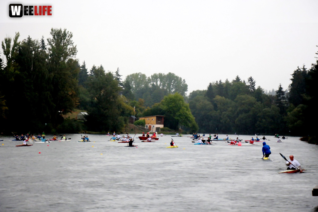 Int. HofRegatta im Kanu-Sprint