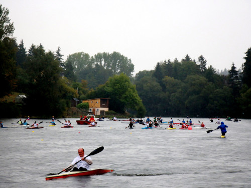 Int. HofRegatta im Kanu-Sprint – Foto 55