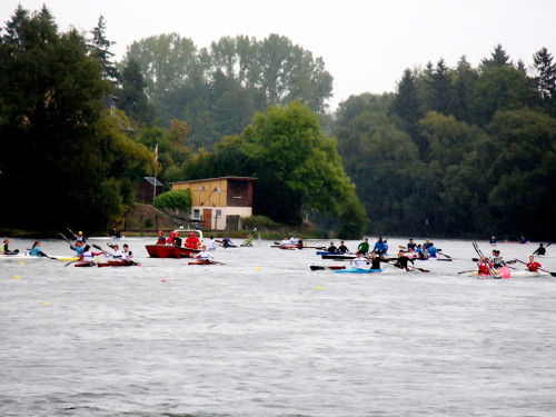 Int. HofRegatta im Kanu-Sprint – Foto 57