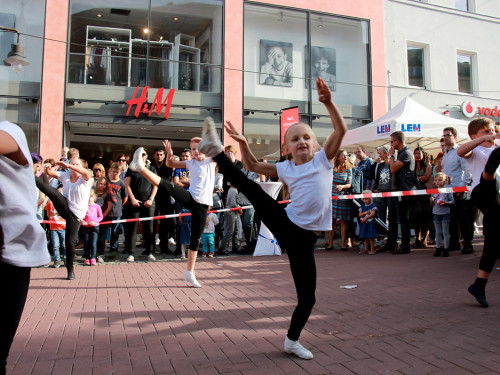  Hofer Herbstmarkt 2016 Sonntag – Foto 30