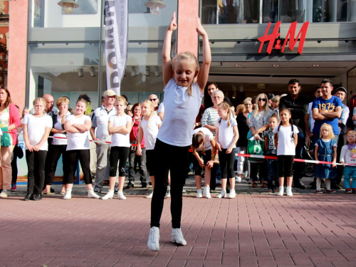  Hofer Herbstmarkt 2016 Sonntag – Foto 52