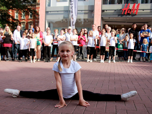  Hofer Herbstmarkt 2016 Sonntag – Foto 54