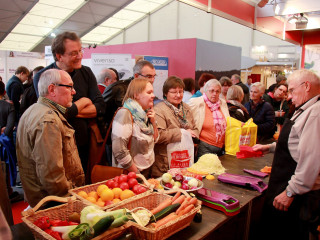 Foto 185542 im Album