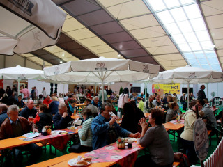Foto 185552 im Album