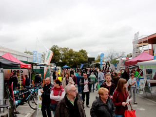 Foto 185556 im Album