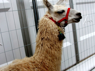 Foto 185573 im Album