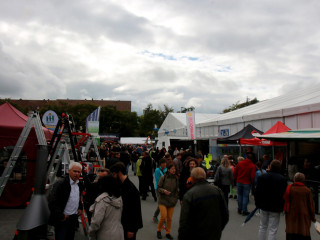 Foto 185606 im Album