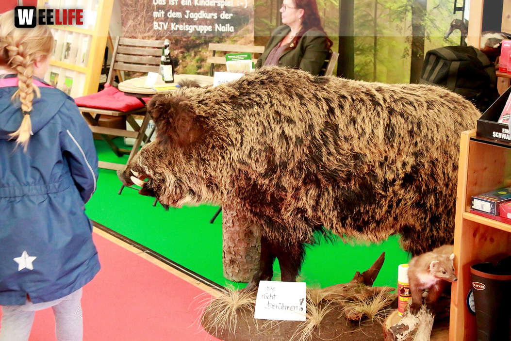 Oberfranken-Ausstellung Montag
