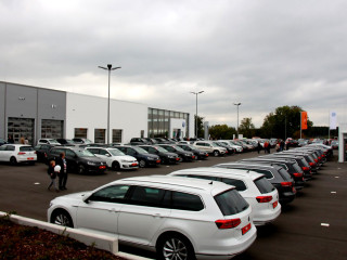 Foto 186135 im Album