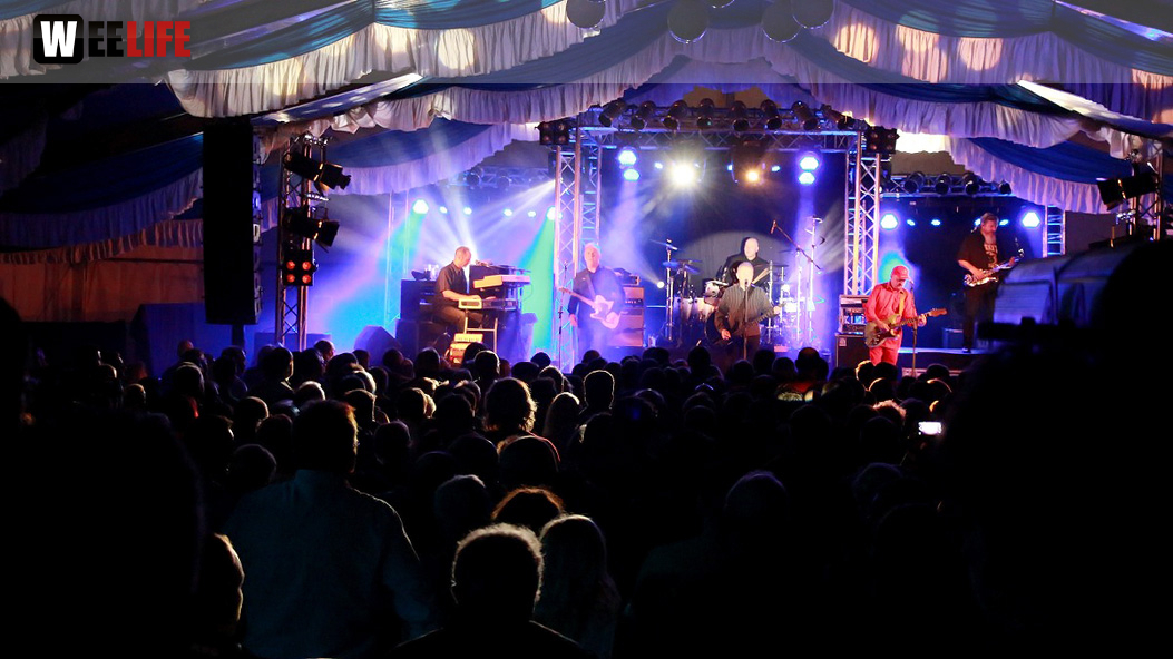 Konzert Spider Murphy Gang: 40 Jahre Rock\'n\'Roll