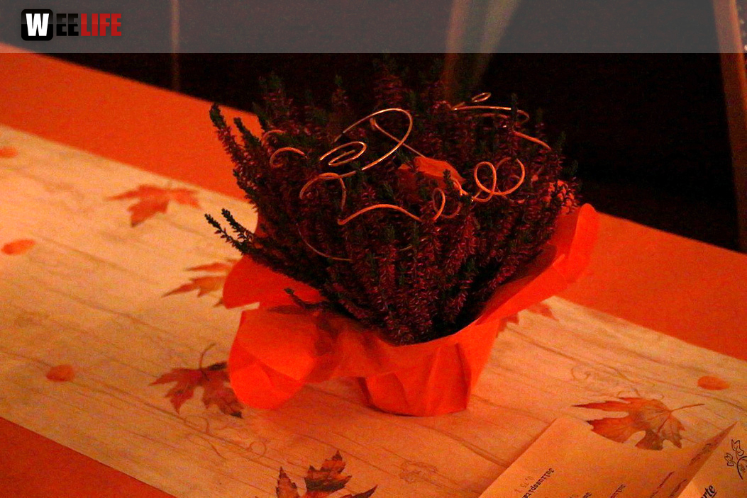 Herbstball der Gartengesellschaft