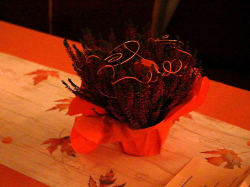 Herbstball der Gartengesellschaft – Foto 3