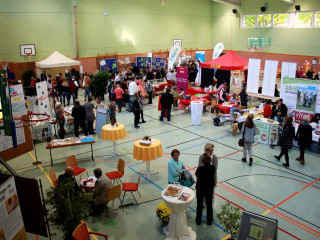 Foto 186585 im Album