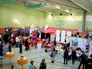 Foto 186586 im Album
