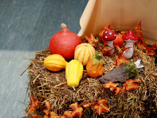 Herbstmesse – Foto 19