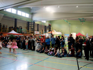 Foto 186628 im Album